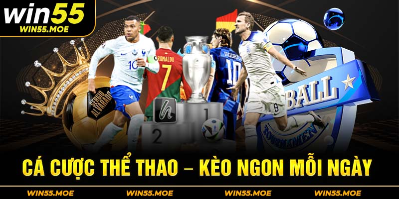 huong-dan-dang-ky-dai-ly-win55